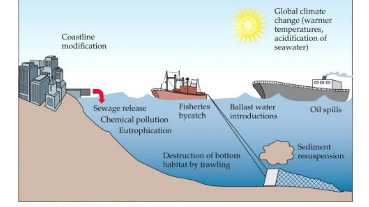 <p>lotss of pollution, oils spills, ect.</p>