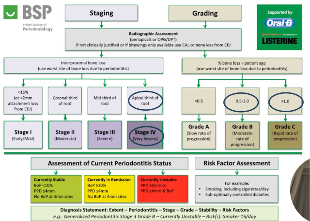 <p>extent, stage, grade, stability, risk factors </p>