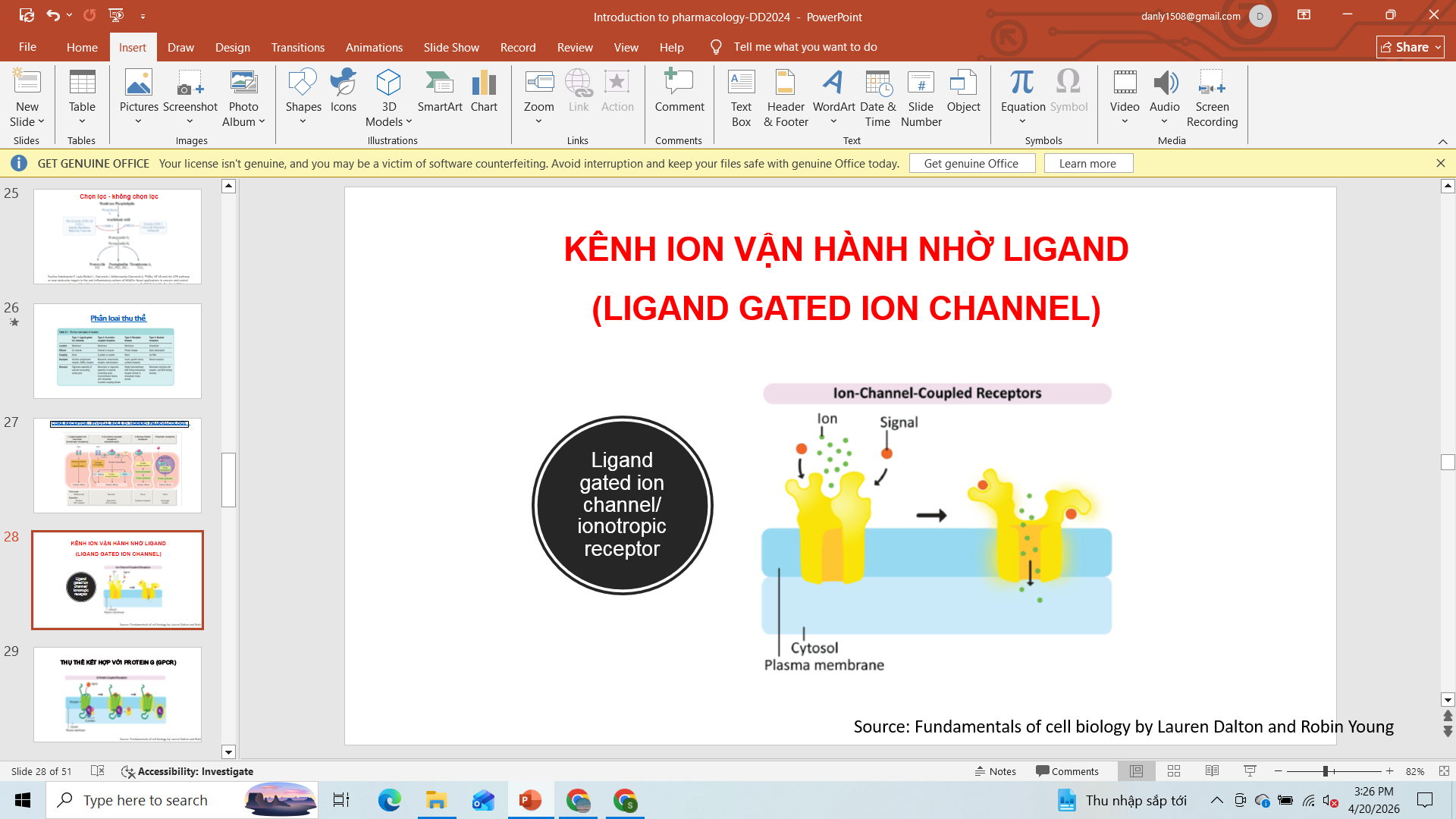 <ul><li><p>vận hành nhờ chất nội sinh (ligand)</p></li><li><p>Nhập bào, xuất bào→khử cực→tác động lên tb đích</p></li></ul><p></p>