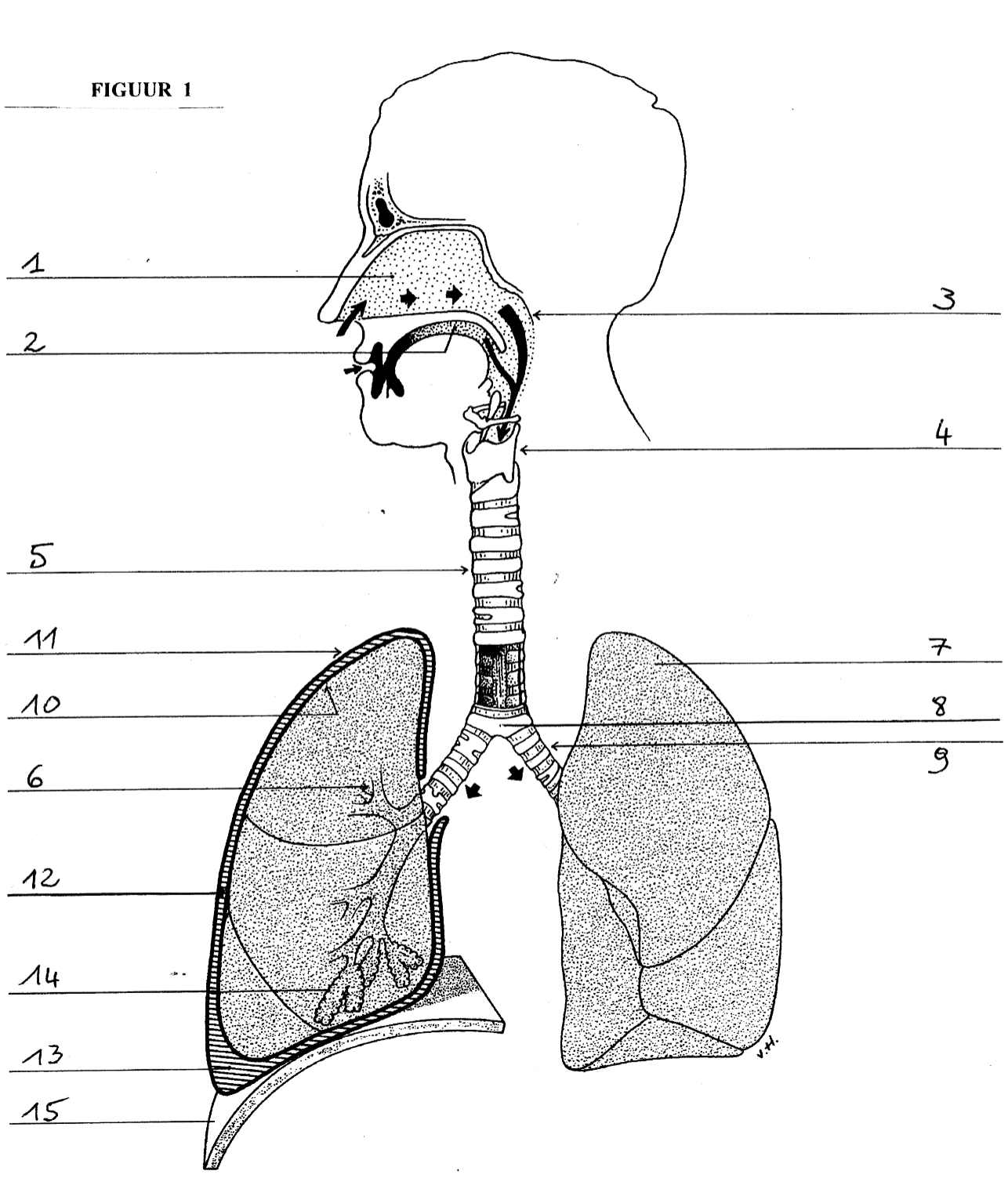 <p>FIG 1:1</p>