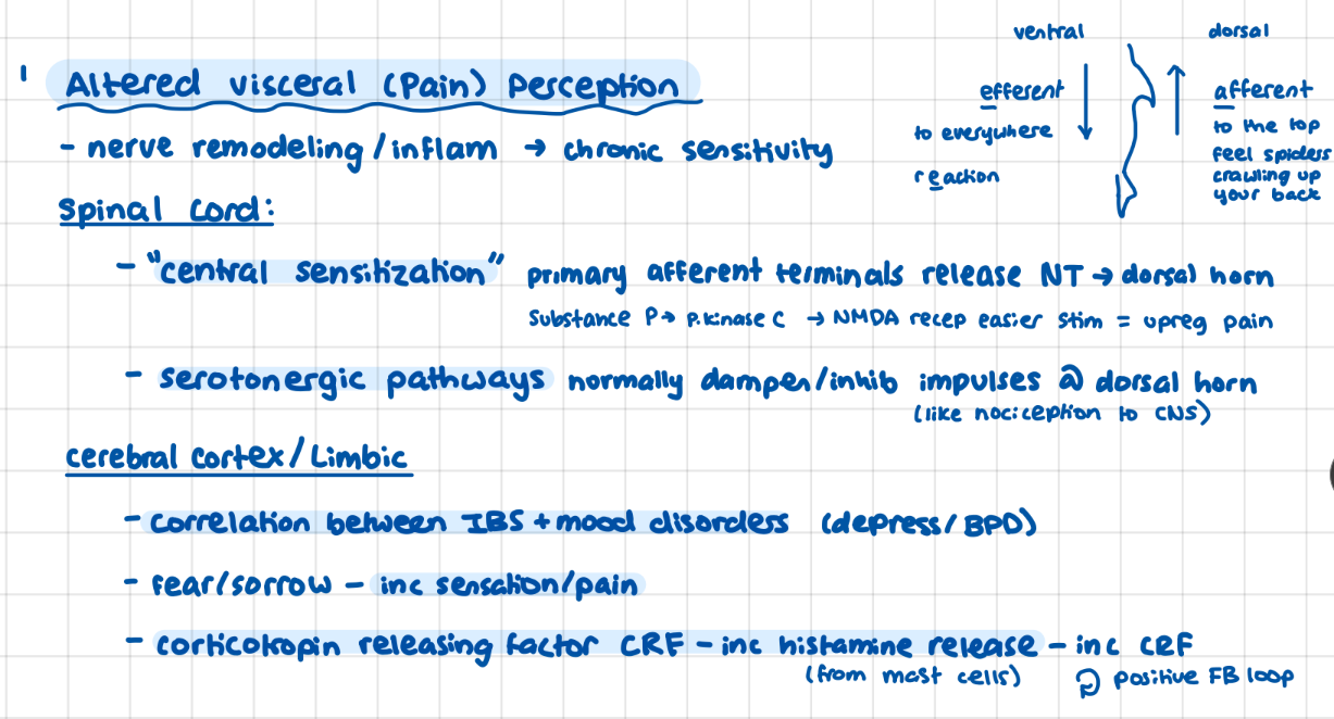 <p>spinal cord: <strong>central desensitization</strong>, serotonergic pathways</p><p>Limbic system: correlation with mood disorder + fear/sorrow inc pain, <strong>corticotropin > histamine > CRF positive feedback loop</strong></p><p></p><p><strong>aaaaaa</strong> spiders crawling up your back (afferent)</p>