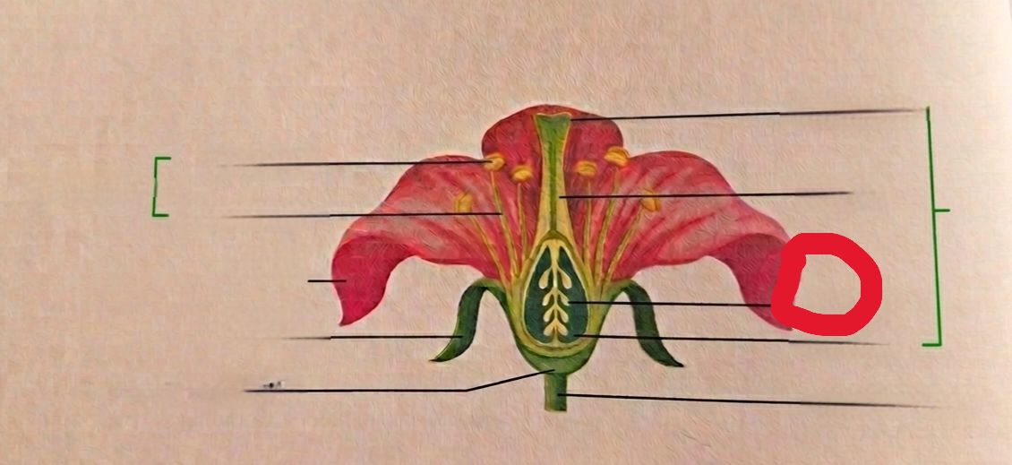 <p>What is this?</p>