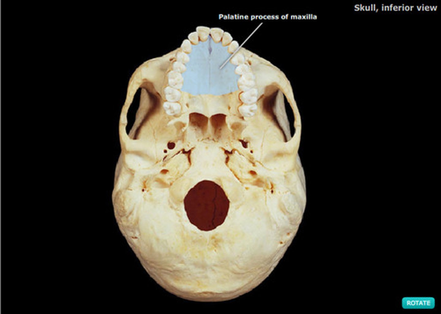 <p>ID highlighted STRUCTURE</p>