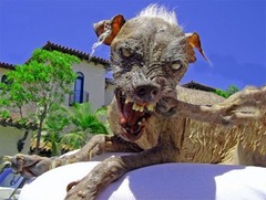 <p>ugly/horrible</p>