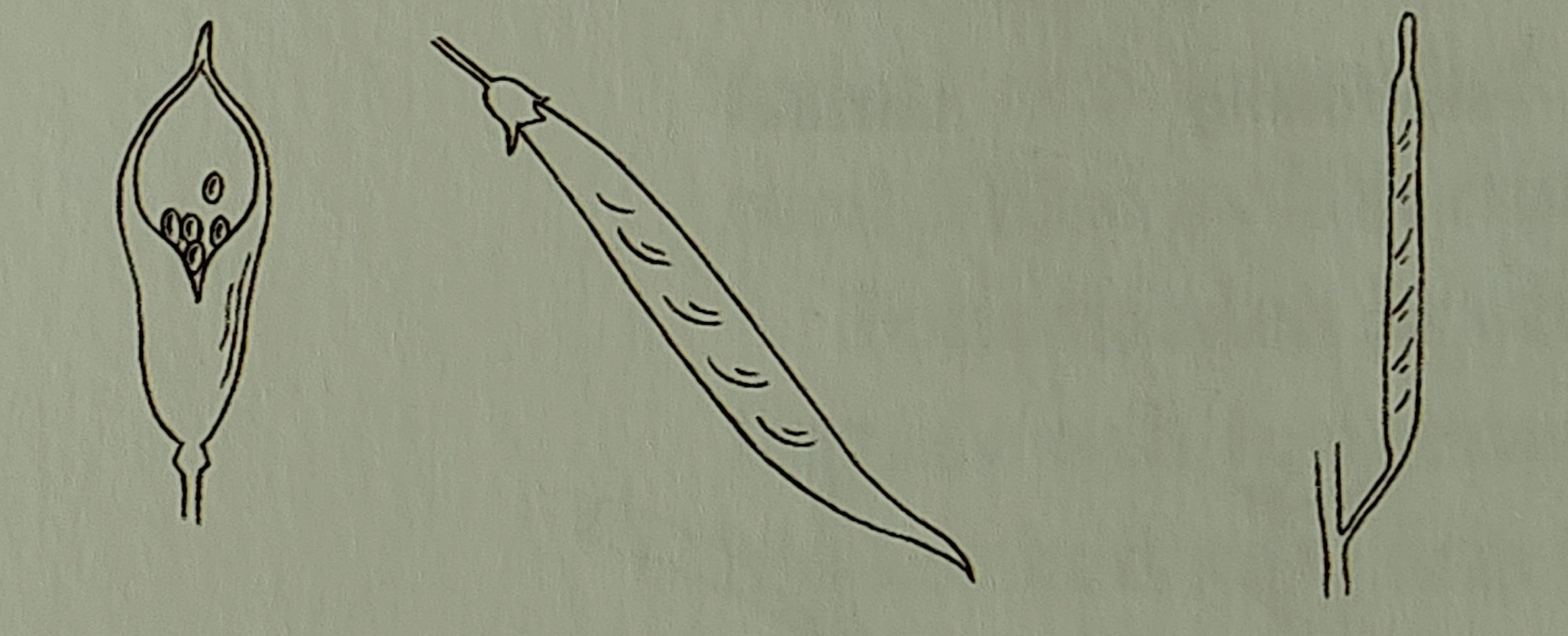 <p></p>
