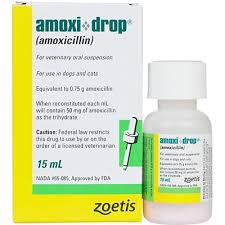 <p>SHELF 1: <strong>Amoxi Drop</strong> <em>(Amoxicillin oral suspension)</em></p>