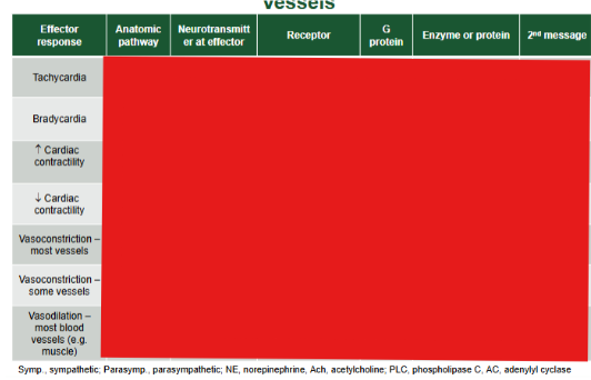 <p>Fill out the chart</p>