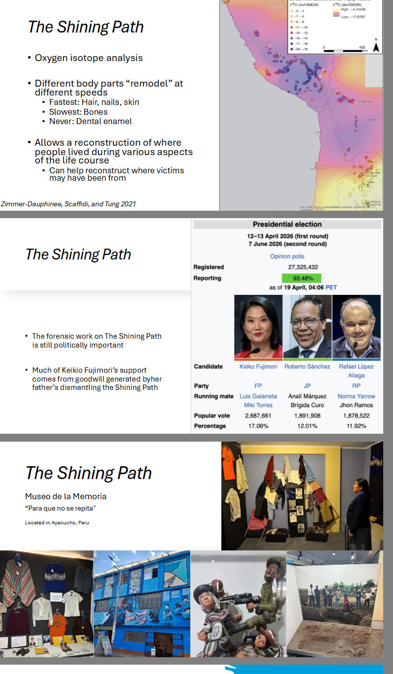 <p>Founded 1969 by Abimael Guzmán (1934 – 2021)</p><ul><li><p>University philosophy prof.</p></li><li><p>Heavy influenced by trip to Maoist China</p></li></ul><p>Militant Maoist doctrine</p><ul><li><p>Believed success of communism required a military revolution</p><ul><li><p>Elections rigged or unreliable</p></li></ul></li><li><p>1977-1980: Began training camps in Ayacucho, Peru</p></li></ul><p></p><p>May 17th, 1980 - ballot boxes in the town of Chuschi were burned</p><ul><li><p>Often considered inciting incident</p></li><li><p>Violence &amp; guerilla warfare escalated through 1981</p></li></ul><p>Eventually, Peruvian government declared “emergency zone” in relevant regions</p><ul><li><p>Allowed military to act with arbitrary impunity</p></li><li><p>Often led to murder, rape, abuse, and torture of innocent people</p></li></ul><p>Military would train civilians to take action</p><ul><li><p>Responses to this from the shining path were brutal</p></li><li><p>70 killed in Lucanamarca Massacre</p></li></ul><p></p><p>Rejected the concept of human rights:</p><ul><li><p>“Our position is very clear. We reject and condemn human rights because they are bourgeois, reactionary, counterrevolutionary rights, and are today a weapon of revisionists and imperialists, principally Yankee imperialists.”</p><ul><li><p>Communist Party of Peru – Shining</p></li></ul></li></ul><p>Path, Sobre las Dos Colinas</p><p>Between 1980 and 2000:</p><ul><li><p>70,000 people dead or missing</p><ul><li><p>Unclear which are govt and which are insurgent</p></li><li><p>Both sides waged brutal war against civilians</p></li></ul></li><li><p>600,000 displaced</p><ul><li><p>Majority of shining path victims people outside of positions of power</p></li><li><p>Indigenous, young, women frequently victims</p></li></ul></li></ul><p></p><p>1990 – Alberto Fujimori comes to power as president</p><ul><li><p>1992: responds with force to the shining path</p><ul><li><p>Largely ended the shining path as an active threat</p></li><li><p>Also killed thousands of civilians</p></li><li><p>Forcible sterilized indigenous women</p></li><li><p>Enacted a coup d’état dismantling legislative and judicial power</p></li></ul></li></ul><p>2000 – Alberto Fujimori fled to Japan</p><ul><li><p>2007: Eventually captured by Peruvians during a trip to Chile</p></li></ul><ul><li><p>2024: Died</p></li></ul><p></p><p>Truth and Reconciliation Commission established in 2001</p><ul><li><p>Formal Organization charged with investigating and recommending reconciliation of human rights abuses</p></li><li><p>The 2001 TRC of Peru was charged with investigating a wide variety of human rights abuses</p></li></ul><p>Part of the charge: forensic exhumation, identification, and repatriation of remains of individuals killed and buried in clandestine/mass graves</p><ul><li><p>>2500 bodies found</p></li><li><p>>1500 identified</p></li><li><p>>1300 returned to families</p></li></ul><p></p><p>Identification of individuals is an ongoing process</p><p>Biological profile can be very limited – at best you get..</p><ul><li><p>Sex</p></li><li><p>Age</p></li><li><p>Trauma</p></li><li><p>Stature</p></li><li><p>Pathology</p></li><li><p>Weight</p></li></ul><p>How to reconstruct mobility?</p><p></p><p>Oxygen isotope analysis</p><p>Different body parts “remodel” at different speeds</p><ul><li><p>Fastest: Hair, nails, skin</p></li><li><p>Slowest: Bones</p></li><li><p>Never: Dental enamel</p></li></ul><p>Allows a reconstruction of where people lived during various aspects of the life course</p><ul><li><p>Can help reconstruct where victims may have been from</p></li></ul><p>The forensic work on The Shining Path is still politically important</p><ul><li><p>Much of Keikio Fujimori’s support comes from goodwill generated by her father’s dismantling the Shining Path</p></li></ul><p></p>