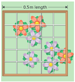 <p><strong><u>Required Practical 9 — Field Investigation — Activity 1 (Investigating the Population Size of a Plant Species Using Random Sampling)</u></strong></p><p>Describe a method to investigate the population size of a plant species using random sampling.</p>