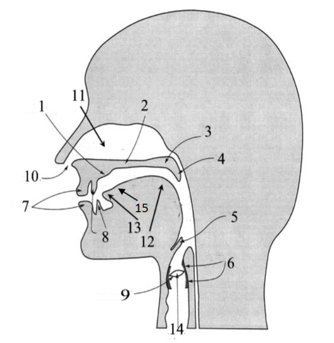 <p>5</p>
