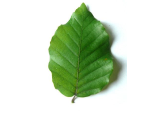 <p></p>
