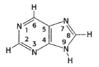 <p>what is this (generally)</p>