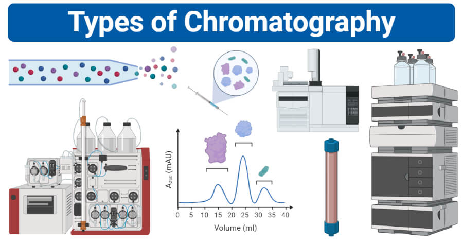 <p>Methods</p><ul><li><p>solubility size charge, and specific binding affinity</p></li></ul><p></p><p>Method 1. sparation by solubility</p><ol><li><p>happens at high salt concentrations = proteins precipitate out of a solution</p><ol><li><p>how does it happen</p><ol><li><p>charges from the proteins - prefferibly negative come to react with water. Filtration methods are used to sparate the small molecules </p></li><li><p>large stuff is trapped inside while smaller moleules diffus outide</p></li></ol></li></ol></li></ol><p></p><p>Separation by size</p><ol><li><p>Gell flltration chromotrophy = molecular exculsion chromotrophy</p><ol><li><p>what happens</p><ol><li><p>small molecules can enter the beads but large molecules cannot = filration</p></li><li><p>larger molecuels leave the filtraiton column first followed by the bound small molecules</p></li></ol></li></ol></li></ol><p>Separation by net charge</p><ol><li><p>ion exchange chromotrhohy</p><ol><li><p>neaural charged protens bind with negativley charged carboxylae groups</p></li><li><p>negatviely charged particals are unable to bind/have a difficult time binding</p></li><li><p>positively charged = couple with the positlvey charged groups on the binding plate</p><ol><li><p>can work both ways</p><ol><li><p>cation exchagne = pisitive proein bind to negative beads</p></li><li><p>anion exchange = negatively charged bead bind to pisitive </p></li><li><p>leftover proteins pass to the bottom and out of the solution to be filterd</p></li></ol></li></ol></li></ol></li></ol><p></p><p></p><p>Separation by specific binding affinity</p><ol><li><p>affinity chromotrophy = motst powerful mehtod of protein purification</p><ol><li><p>uses glucose binding</p></li><li><p>glucose binds to proteins that are able to favoribley bind to glucose</p></li><li><p>nonbinding proteins are reoved</p></li><li><p>glucose is whashed out and the required proteins are left behind</p></li></ol></li></ol><p></p><p></p><p>Higher performance liquid chromotrophy</p><ol><li><p>its like a more enhanced version of cholumn techinechs</p><ol><li><p>beads are finley dividd = more interactions = more pressure =. more rapid separation</p></li></ol></li></ol><p></p>