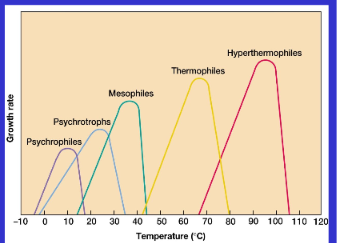 <ul><li><p>psicrófilas→ <15ºC</p></li><li><p>psicrotróficas/psicrotolerantes→ 20ºC a 30ºC</p></li><li><p>mesófilas→ 25ºC a 40ºC</p></li><li><p>termófilas→ 50ºC a 60ºC</p></li><li><p>hipertermófilas→ >80ºC</p></li></ul><p></p>