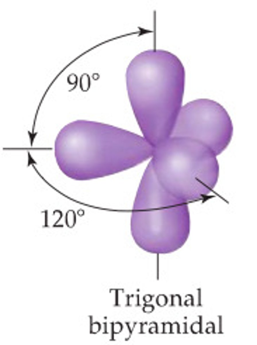 <p>5 hybrid orbitals</p><p>- trigonal bipyramidal</p>