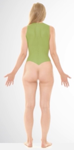 <p>Dorsal</p>