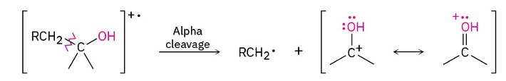 <p>C–C bond nearest the hydroxyl group is broken</p>