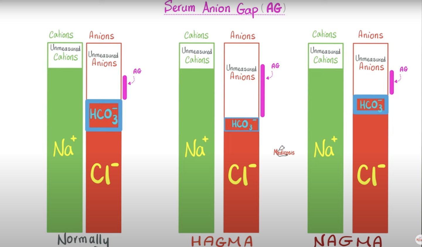 <p>differentiates btwn AGMA (rise in acids consumes bicarb= rise) and NAGMA (Cl rises and compensates for bicarb loss)</p>