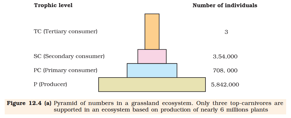 <p>What does P stand for?</p>