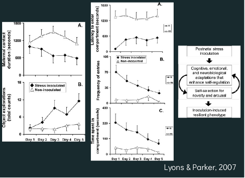 <ul><li><p><strong>Stress-inoculated group:</strong> Monkeys experienced <strong>weekly brief social separations</strong> (moderate stress).</p></li><li><p><strong>Control group:</strong> No separations; stable social environment.</p></li><li><p>Later, both groups were exposed to stress-inducing situations.</p></li></ul><p><strong>Key Findings:</strong></p><ol><li><p><strong>Response to Novel Objects/Environments</strong></p><ul><li><p>Inoculated monkeys → more exploration, less fear, less clinging</p></li><li><p>Control monkeys → more hesitation, more anxiety, more clinging</p></li></ul><p>(Exploration of novelty = lower anxiety / greater confidence)</p></li><li><p><strong>Stress Hormone Response (Cortisol Test)</strong></p><ul><li><p>Inoculated monkeys → lower cortisol response to stress (e.g., restraint)</p></li><li><p>Control monkeys → higher cortisol response</p></li></ul></li></ol><p><strong>Conclusion:</strong><br>Moderate early stress <strong>“trains” the stress response system</strong>, leading to:</p><ul><li><p>Lower physiological stress reactivity</p></li><li><p>Greater exploration</p></li><li><p>Reduced anxiety-like behavior</p></li><li><p>Better adaptation to future stressors</p></li></ul><p>Moderate early stress → adaptive, controlled resilience.</p>
