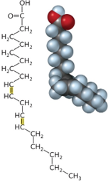 <p>Name the Lipid molecule:</p>