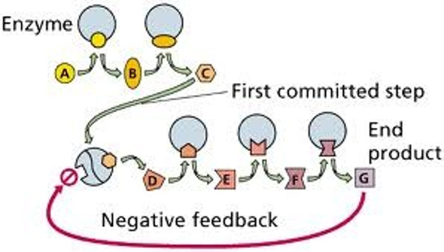 <p>An inhibitor stops the substrate from reaching the active site</p>
