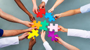 <p>cohesion</p>