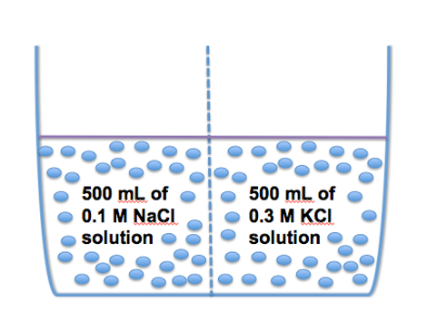 <p><span>At dynamic equilibrium:</span></p><p><span>The solution on the right has a greater osmotic pressure than the solution on the left.</span></p><p><span>The sodium concentration is equal on both sides of the partition.</span></p><p><span>The potassium concentration is equal on both sides of the partition.</span></p><p><span>The solution on the right has a greater total volume than the solution on the left.</span></p>
