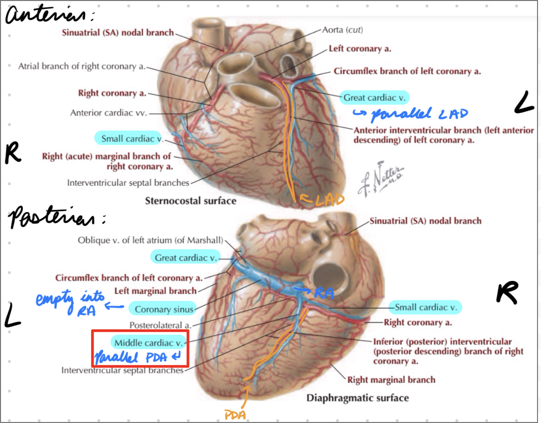 <p>Parallel PDA</p>