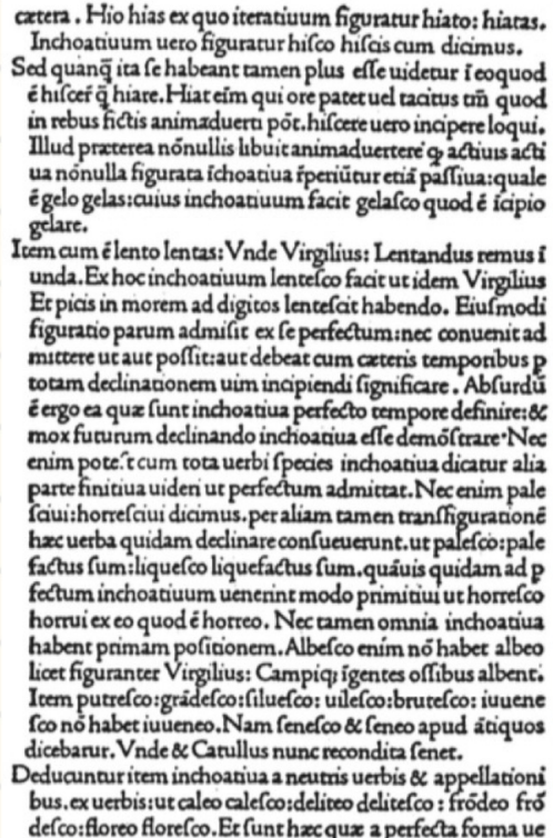<p>Autor</p>
