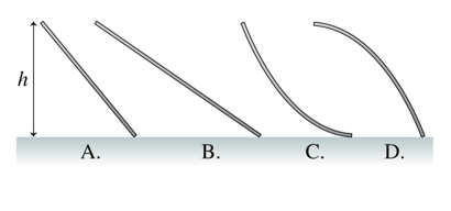 <p>All are equal </p>