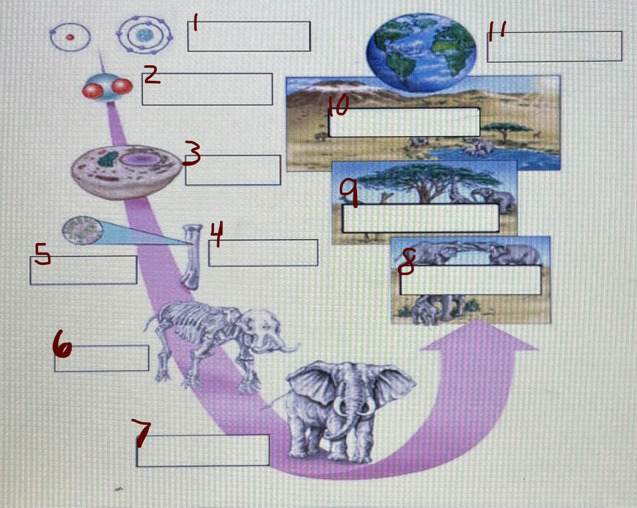 <p>7</p>