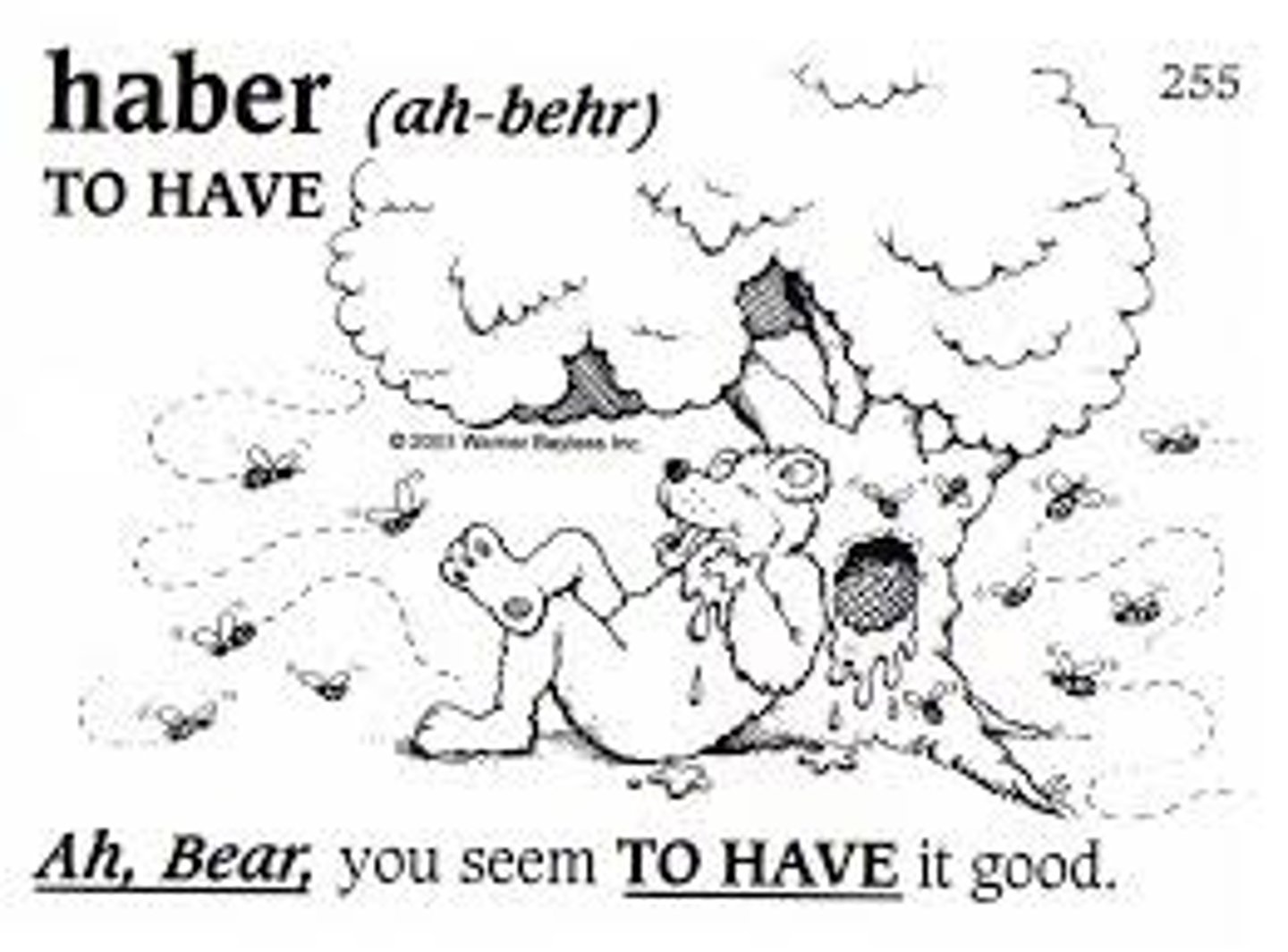 <p>to have (helping verb)</p>