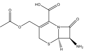 <p class="ds-markdown-paragraph">Nucleus of Cephalosporins.</p><p class="ds-markdown-paragraph">a. 7-aminocephalosporic acid (ACA)<br>b. 6-aminopenicillanic acid (APA)<br>c. 7-aminodesacetoxycephalosporanic acid (7-ADCA)<br>d. 4-quinolone nucleus</p>