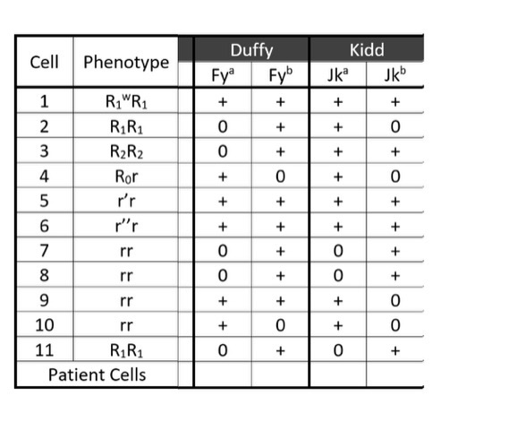 <p>You need a cell that is HOMOZYGOUS with respect to the Kidd B (Jkb) antigen.</p><p>Which of the following cells are valid choices? Select all that apply.</p>