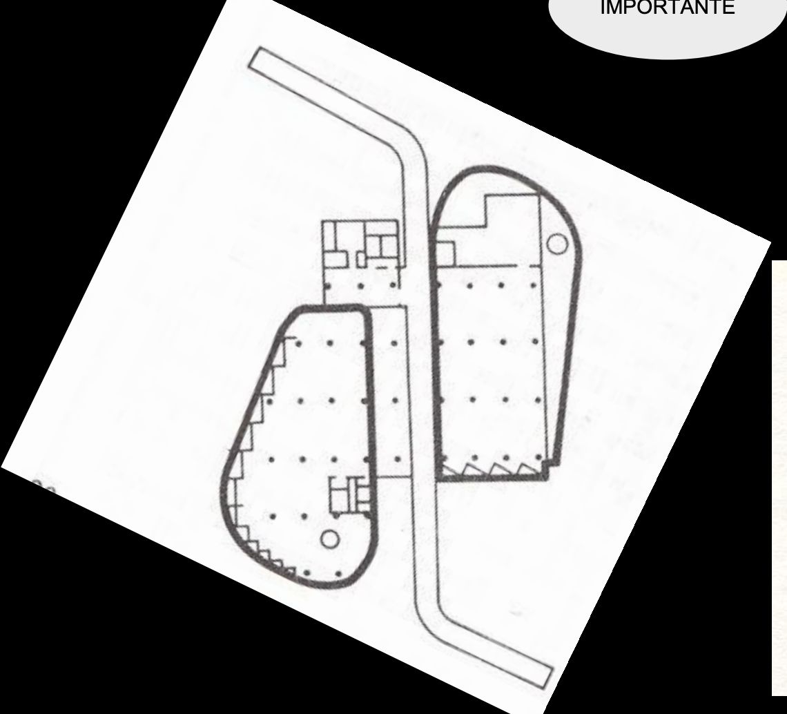<p>Theme 5 </p><p>Multi central</p>