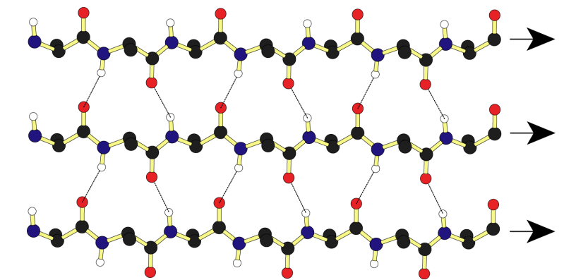 <p>parallel b sheet </p>