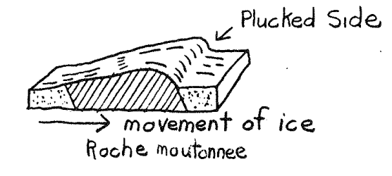 <p>Occurs when an outcrop of hard rock is smoothed on the side facing the ice and plucked by freeze thaw action on the side facing away</p>