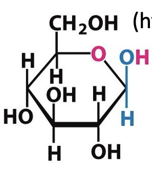 <p>Number the carbons in this molecule:</p>