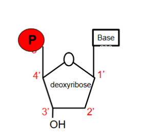 <p>What is this?</p>