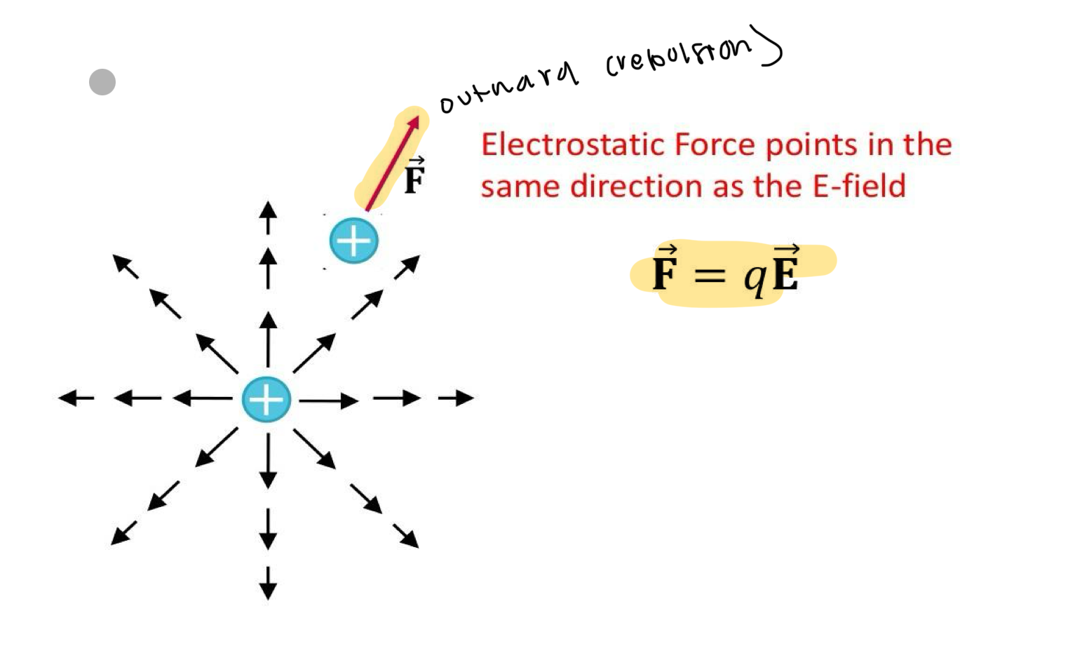 <p>outward point (electrostatic repulsion)</p>