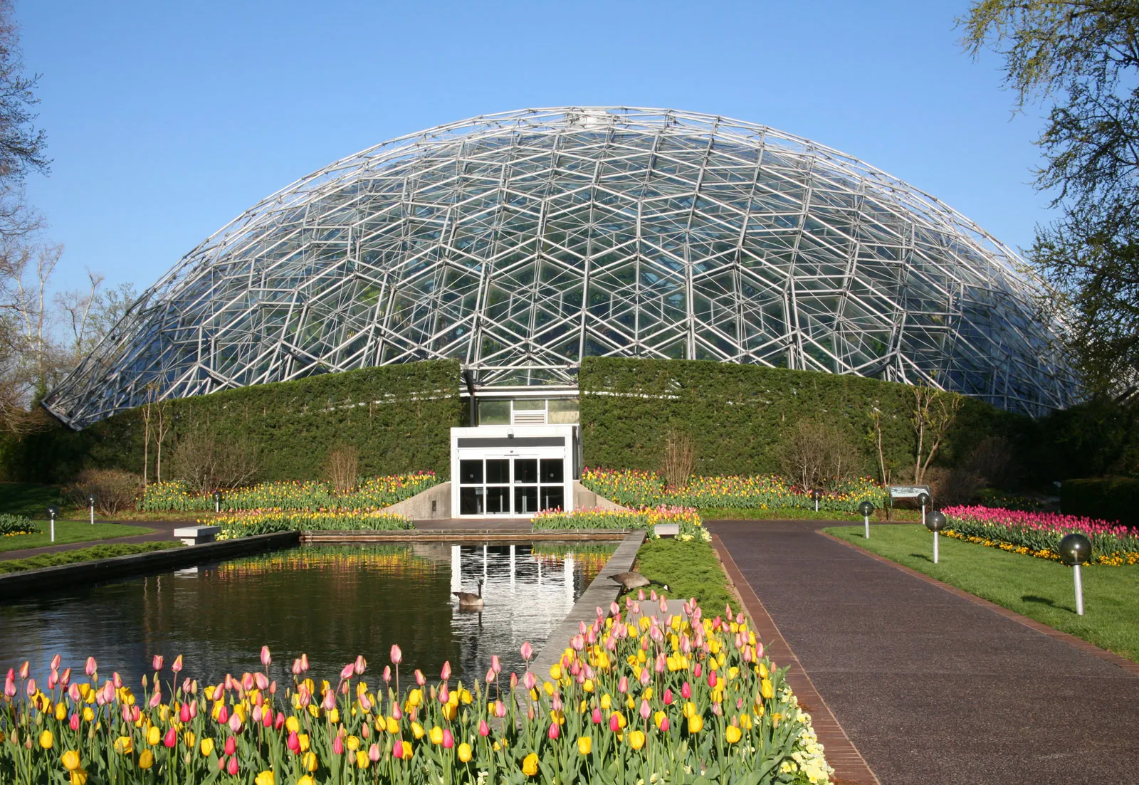 <p>hemispherical or spherical lattice-shell structure built from an interlocking network of triangles that evenly distribute stress</p>