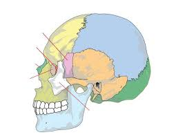 <p>What does the light blue part represent?</p>