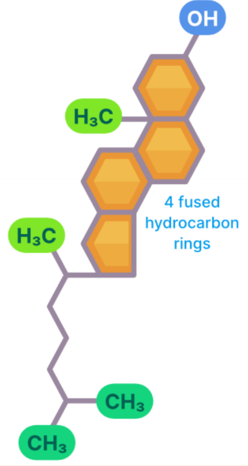 <p>steroids</p>