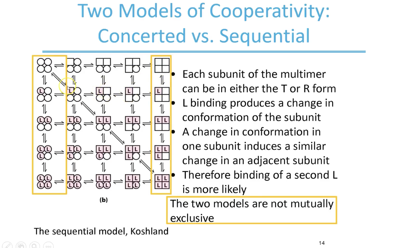 <p>The highlighted in yellow shows the elements of concerted model - physical reality is probably better represented by a composite model somewhere in the middle</p>