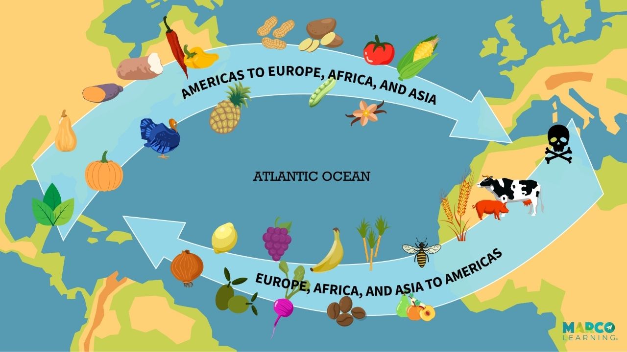 <p>The transfer of goods, people, diseases, and animals between hemispheres.</p>