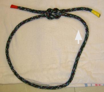 <p>what kinf of knot (Large Animal Knots and Ropes)</p>
