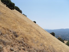 <p>very steep</p>