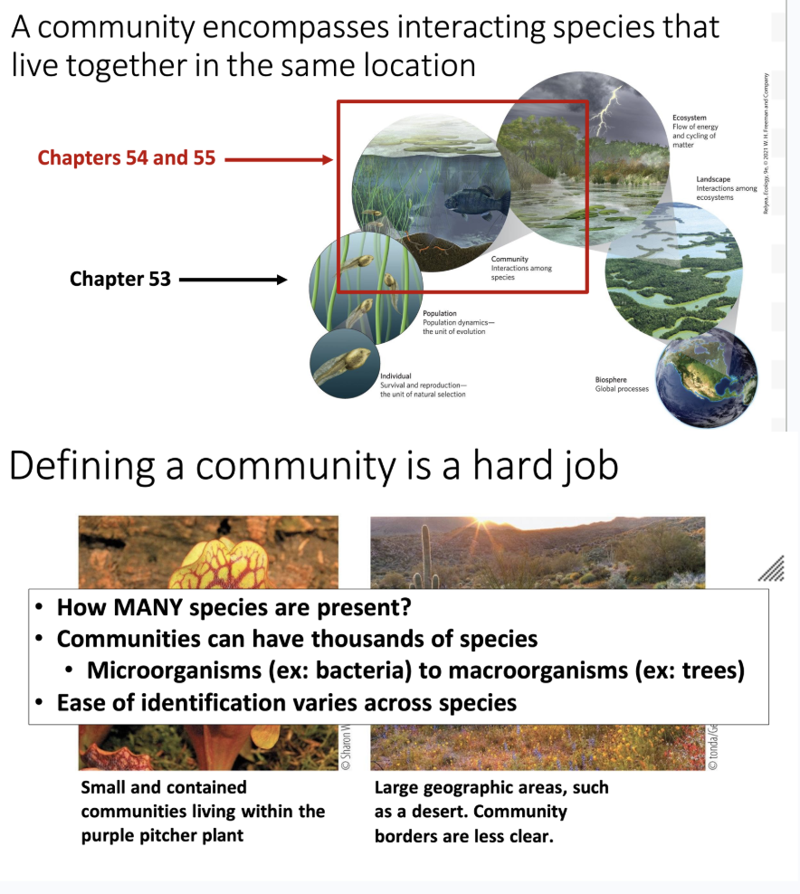 <ul><li><p>A community encompasses interacting species that live together in the same location.</p><ul><li><p>Community can be a very vague statement ranging to the inside of a plant or a large geographic area.</p></li><li><p><span>Scale and lack of clear borders can make it harder to define.</span></p></li></ul></li></ul><p></p>