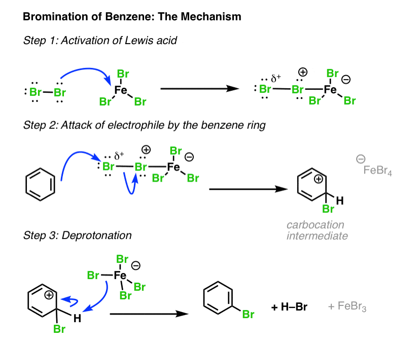 <p>Bromination of an aromatic ring is a chemical reaction where a bromine atom swaps places with a hydrogen atom on a benzene ring. Because aromatic rings are highly stable, this reaction requires a catalyst to force the reaction to happen. </p><p><strong>1. Form a strong electrophile</strong></p><p>Aromatic rings are naturally stable and wealthy in electrons. Normal bromine is not strong enough to attack it alone. A catalyst, usually FeBr3 or AlBr3, pulls a bromine atom away to create a highly reactive, positive bromine ion.</p><p><strong>2. Attack the ring</strong></p><p>The electron-rich aromatic ring attacks the positive bromine ion. This temporarily breaks the ring's special stability (aromaticity) and forms a carbocation intermediate. </p><p><strong>3. Restore ring stability</strong></p><p>A base in the mixture plucks away the hydrogen atom from the carbon where the bromine attached. The shared electrons slide back into the ring, instantly restoring its stable aromatic network and forming the final brominated product along with hydrobromic acid HBr</p>